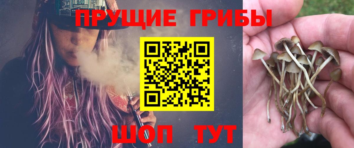 Галлюциногенные грибы мухоморы Орехово-Зуево