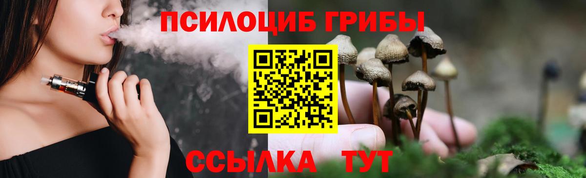 Орехово-Зуево  Псилоцибиновые грибы Magic Shrooms  Вход с VPN 