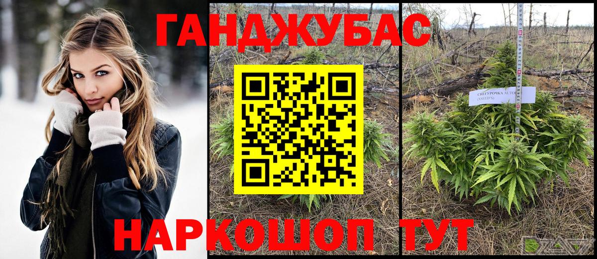 Бошки Шишки планчик Орехово-Зуево